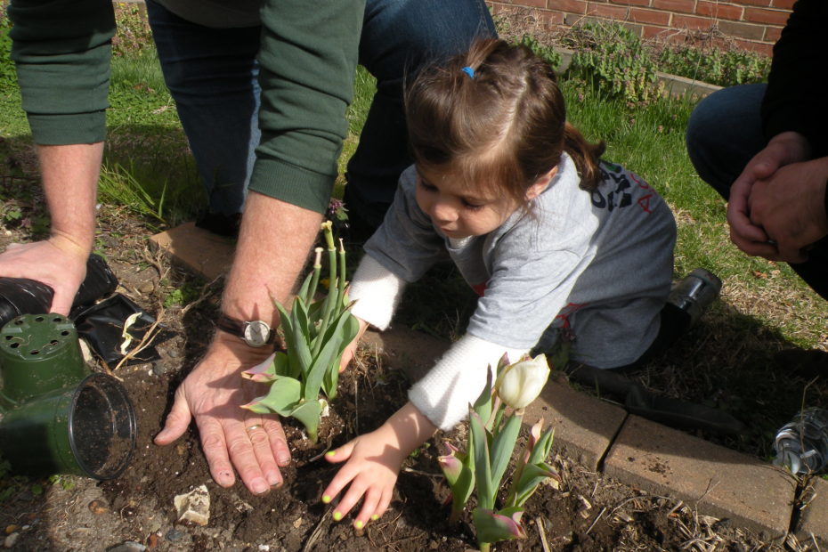 photo of small child planting flowers