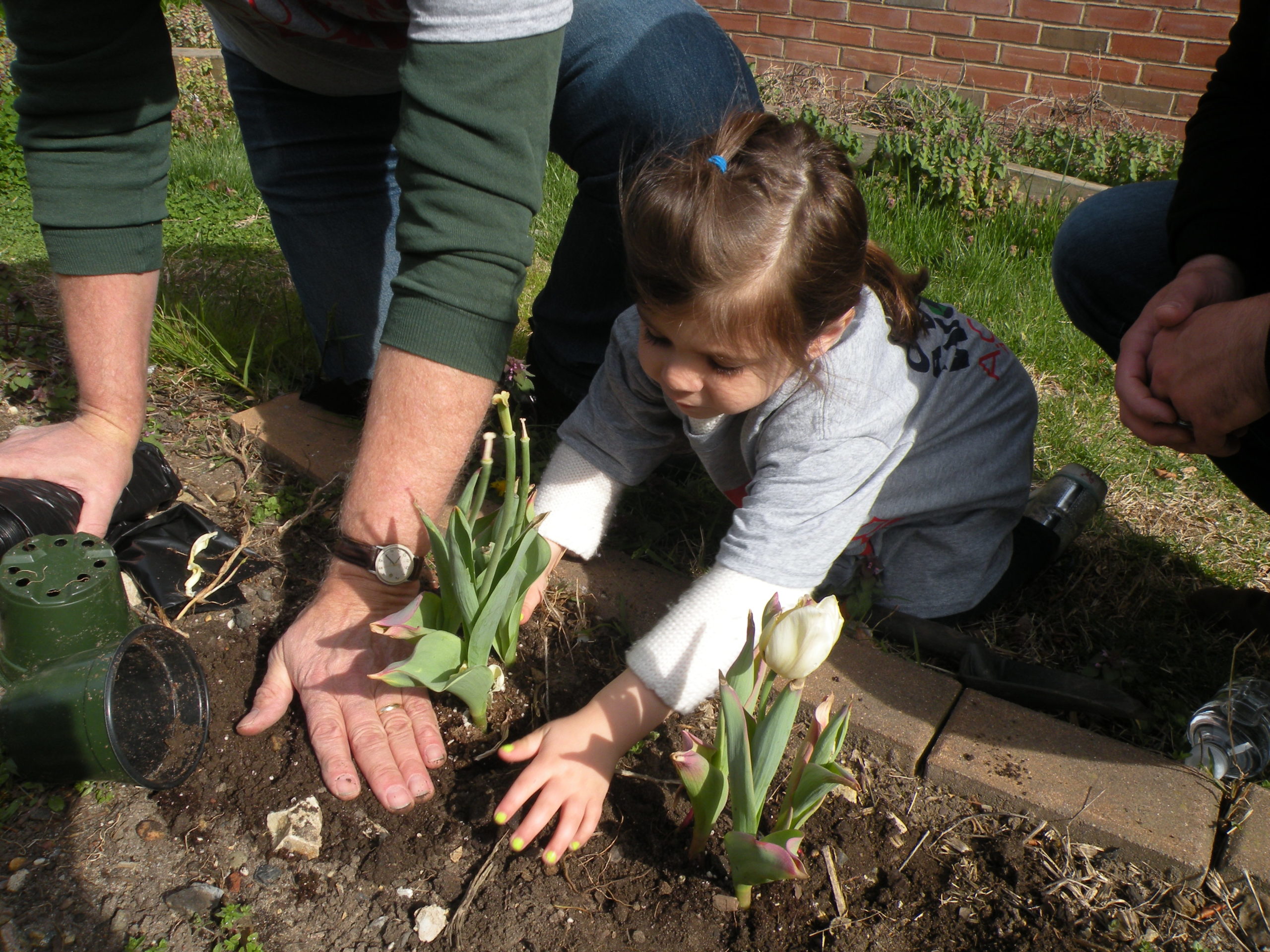 photo of small child planting flowers